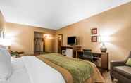 Bilik Tidur 7 Quality Inn & Suites