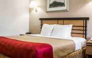 Kamar Tidur 6 Econo Lodge Inn & Suites Colonie Center Mall