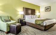 Bedroom 7 Quality Inn & Suites Creedmor - Butner