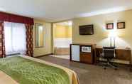 Bilik Tidur 7 Comfort Inn Columbia - Bush River