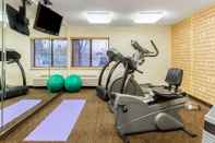 Fitness Center La Quinta Inn by Wyndham Chicago Willowbrook
