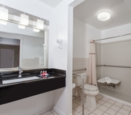 In-room Bathroom 3 Days Inn by Wyndham Wilmington/Newark