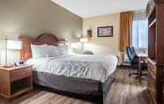 Bilik Tidur 5 Wexford Inn & Suites