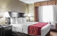 Bilik Tidur 7 Holiday Inn Kansas City Downtown, an IHG Hotel