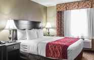 Bedroom 7 Holiday Inn Kansas City Downtown, an IHG Hotel
