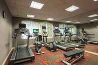 Fitness Center Residence Inn by Marriott Boston Framingham