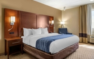 Phòng ngủ 6 Comfort Inn Detroit/Warren Sterling Heights