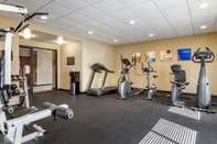 Fitness Center Comfort Inn Detroit/Warren Sterling Heights