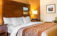 Phòng ngủ 3 Comfort Inn & Suites Midtown