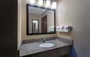 In-room Bathroom 3 Ramada by Wyndham Glendale Heights/Lombard