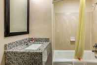 In-room Bathroom Econo Lodge Opelika