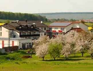 Exterior 2 Flair Hotel Landgasthof Roger