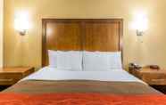 Kamar Tidur 6 Comfort Inn & Suites Dalton