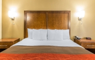Bedroom 6 Comfort Inn & Suites Dalton