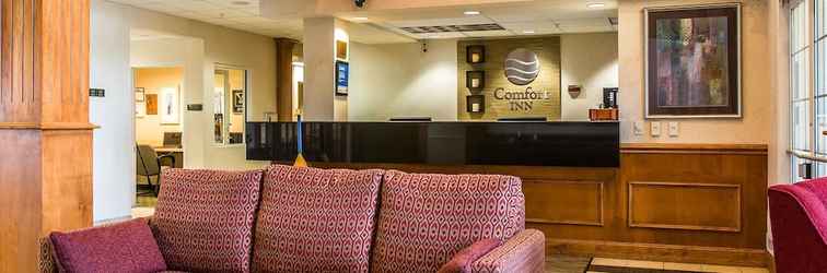 Lobi Comfort Inn Chelsea