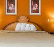 Bedroom 7 Quality Inn & Suites Shelbyville I-74
