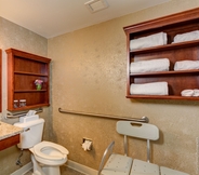 In-room Bathroom 3 Best Western Plus Mentor-Cleveland Northeast