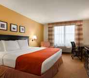 Kamar Tidur 2 Country Inn & Suites by Radisson, Dundee, MI