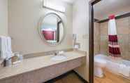 In-room Bathroom 7 Red Roof Inn Columbus - Grove City