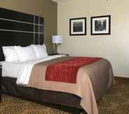 Bilik Tidur 6 Comfort Inn North of Asheville