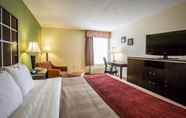 Bedroom 7 Comfort Inn North of Asheville