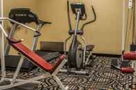 Fitness Center Comfort Inn Birch Run - Frankenmuth