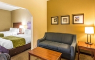 Phòng ngủ 7 Comfort Suites Cookeville