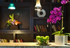 ロビー 3 The Marcel at Gramercy