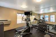 Fitness Center Comfort Inn & Suites North Aurora - Naperville