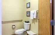 Phòng tắm bên trong 6 Comfort Inn DeKalb - Adjacent the University
