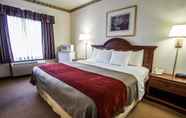 Kamar Tidur 2 Comfort Inn & Suites Geneva - West Chicago