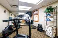 Fitness Center Comfort Inn & Suites Geneva - West Chicago