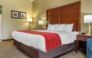 Bilik Tidur 7 Comfort Inn & Suites Mocksville I-40