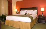 ห้องนอน 7 Holiday Inn Express Hotel & Suites Greenville, an IHG Hotel