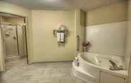 In-room Bathroom 6 Holiday Inn Express Hotel & Suites Columbus SW-Grove City, an IHG Hotel