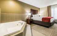 Bilik Tidur 4 Comfort Inn & Suites Greenwood near University