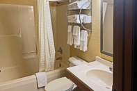 In-room Bathroom Econo Lodge