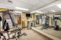 Fitness Center Quality Inn & Suites MidAmerica Industrial Park Area