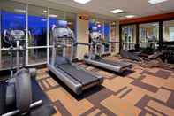 Fitness Center Courtyard by Marriott Toronto Mississauga/Meadowvale