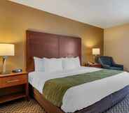 Kamar Tidur 7 Comfort Inn Charlotte