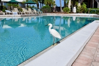 Swimming Pool Caribbean Beach Club