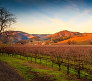 Nearby View and Attractions 5 Hyatt Regency Sonoma Wine Country