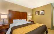 Bedroom 3 Comfort Inn Red Horse Frederick