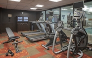 Fitness Center 7 Courtyard St. Louis Airport/Earth City