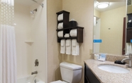 In-room Bathroom 3 Hampton Inn Kent/Akron Area