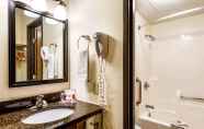 In-room Bathroom 5 Econo Lodge Mayo Clinic Area