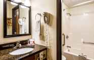 In-room Bathroom 5 Econo Lodge Mayo Clinic Area