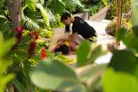 สิ่งอำนวยความสะดวกด้านความบันเทิง Hotel Wailea, Relais & Chateaux - Adults Only