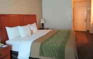 Bilik Tidur 4 Comfort Inn & Suites El Centro I - 8