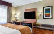 Bedroom 7 Comfort Suites Plainview